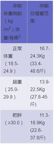 糙猎户的公主兔 手机版哪个好