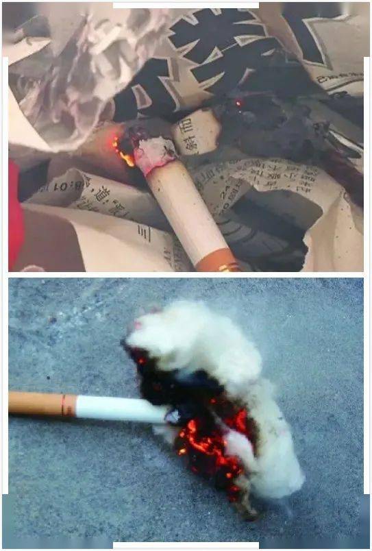 一个烟头烧掉了"300万",房东被气晕,你竟然还敢乱扔烟头