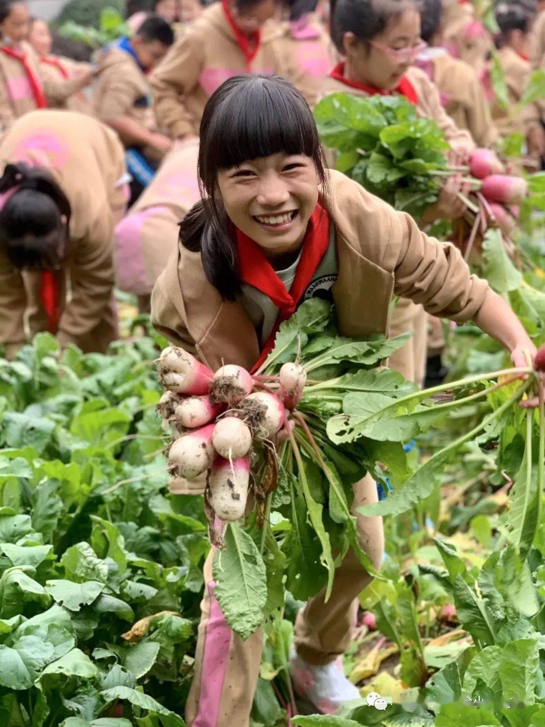 爱心义卖丨超乎想象的校园萝卜展销会