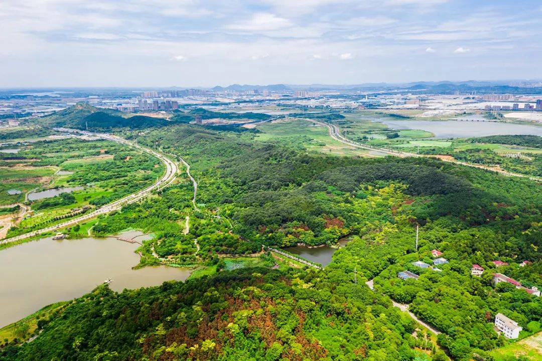 龙灵山号称武汉第一"绿肺"的龙灵山生态公园,位于通顺河大道及军山