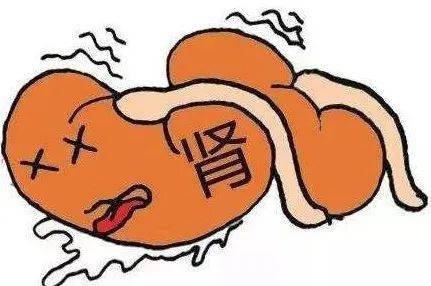 肾坏了,心脏也"崩了",53岁杭州大哥能活命吗?唯一的方法是