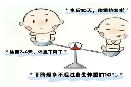 新生儿生理性体重下降一般出现在孩子出生后2~4天,由于摄入量少,不