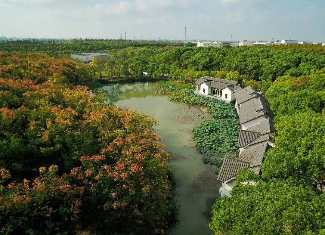 並處於市,區兩級規劃中莊行郊野公園和農藝公園