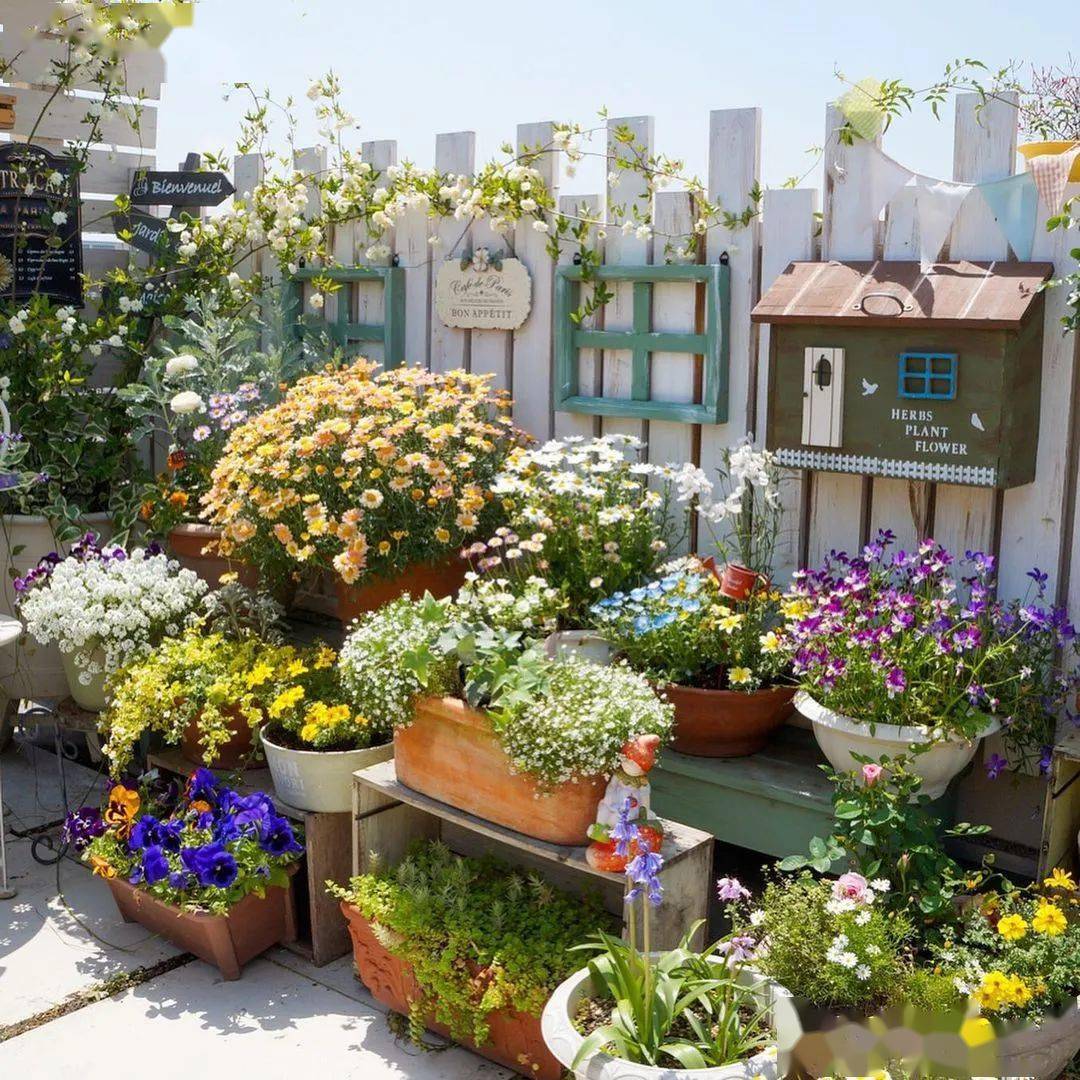 20款漂亮的花园围墙,看看哪一款适合你家庭院?_月季