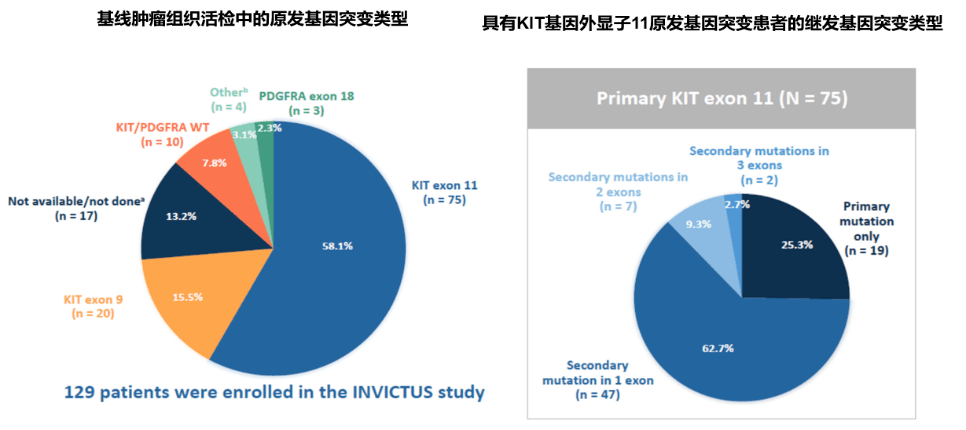 專家論道胃腸間質瘤臨床研究討論會瑞派替尼感恩有你