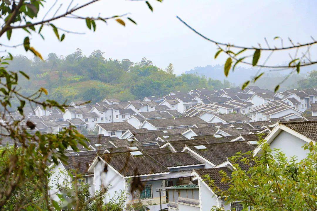 家在江北丨五宝为了变美,竟这样"攀比"!_五宝镇