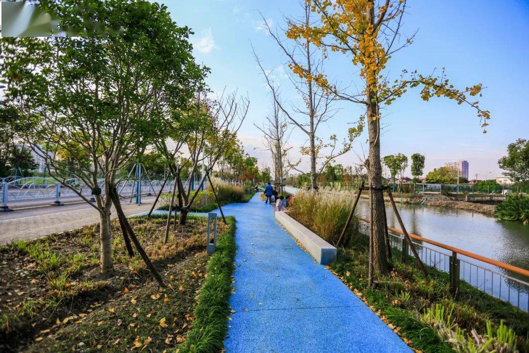 颜值爆表走走走跟着松江这些步道热起来