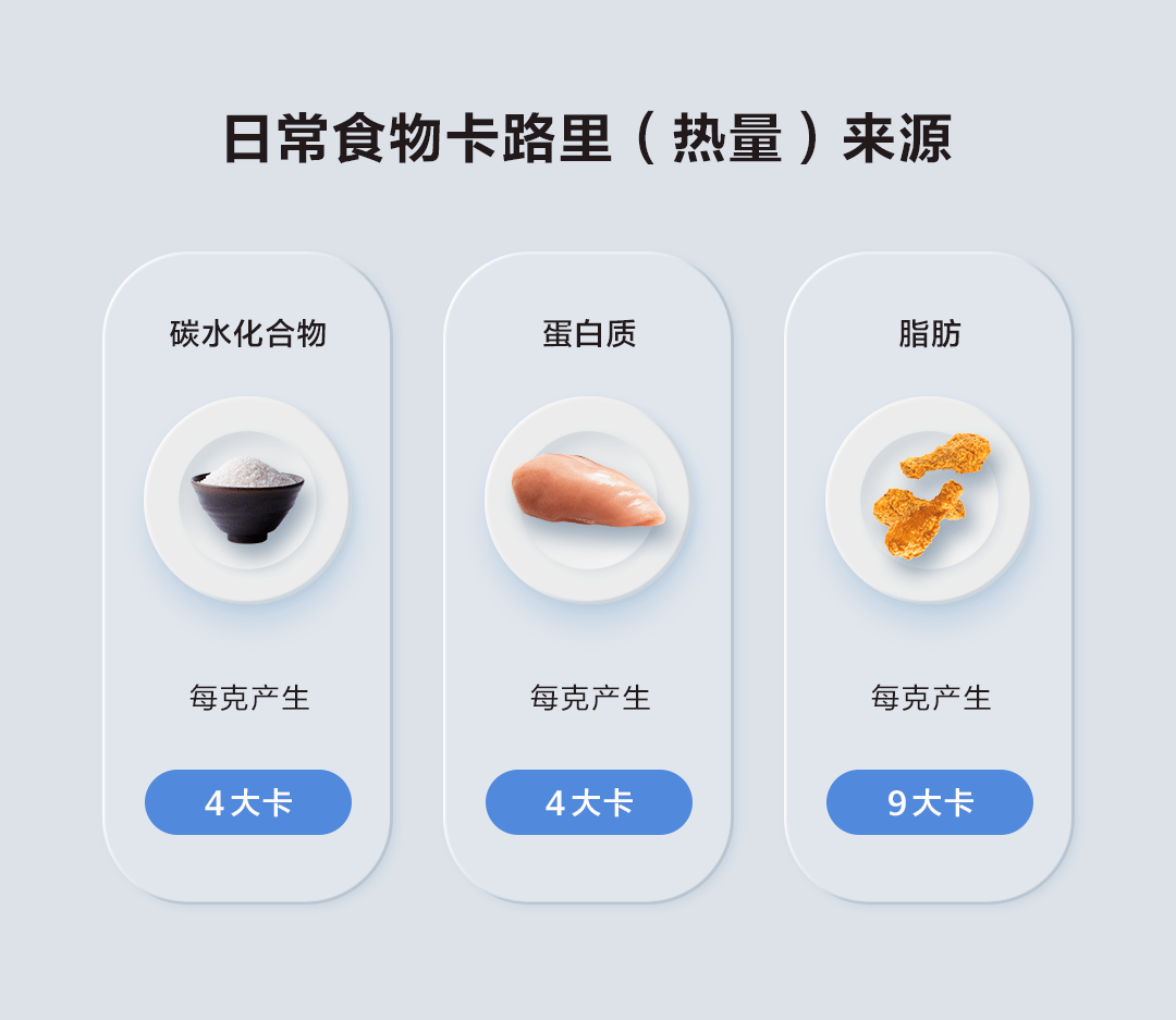 q1卡路里是什么?
