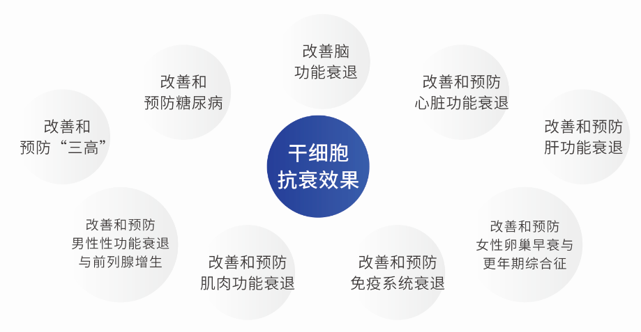 干细胞助你成为冻龄女神