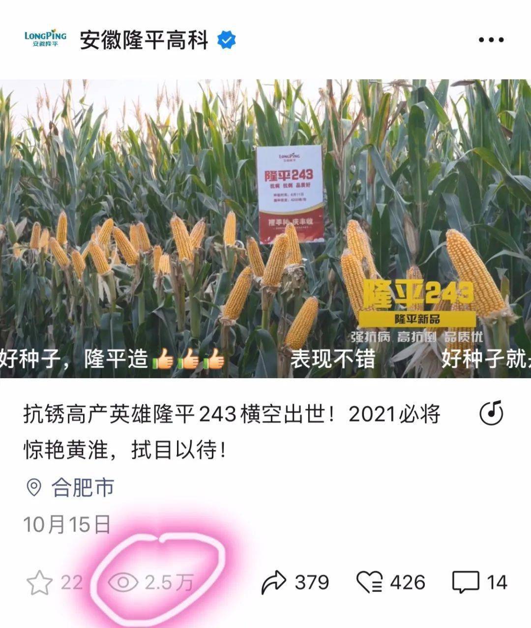 隆平243容重808克已过国审即将出场炸街了