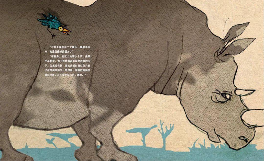 维尔纳·霍尔茨瓦特的讲述,以犀牛吉米和犀牛鸟哈奇回忆两人共同岁月