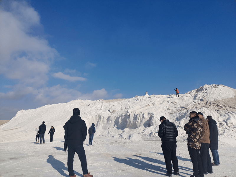 吉兰泰镇党群服务中心开展赏盐湖寻找盐文化的主题党日活动