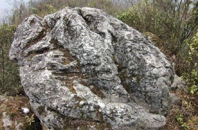 雾海之时,不如登山远眺——老青山