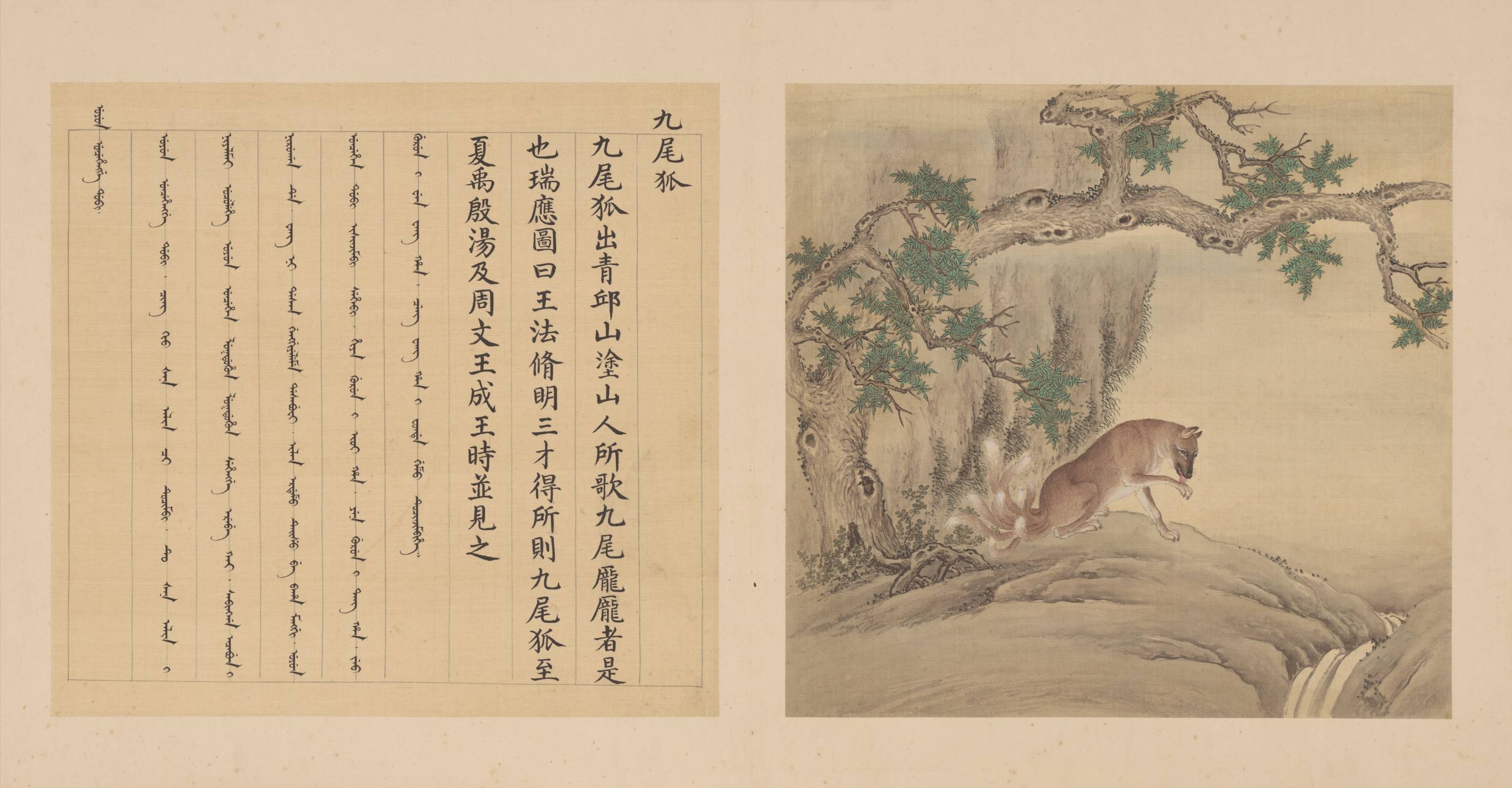 故宫博物院藏品——乾隆皇帝历时11载编纂的《兽谱》