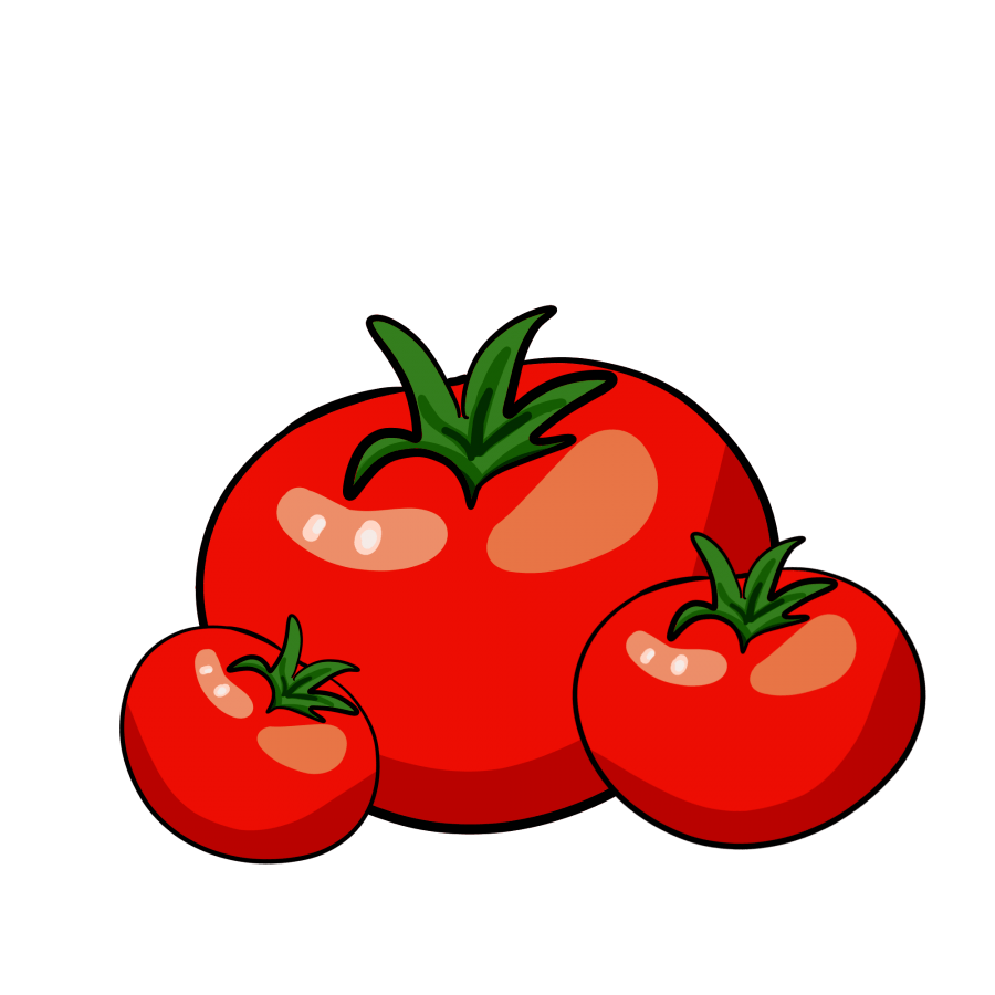 收果商都不要畸形果到底是什么改变了番茄原有的容貌