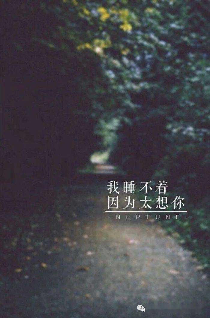 詩歌:《睡了嗎,好想你》作者:欣雨/主播:智昊