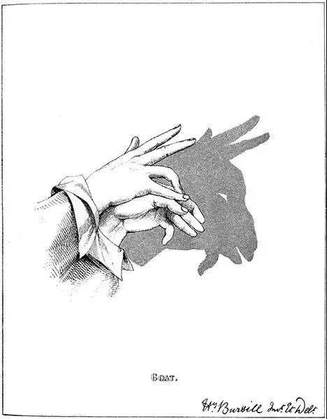 一秒变身影子魔术师!带宝宝足不出户逛"动物园"