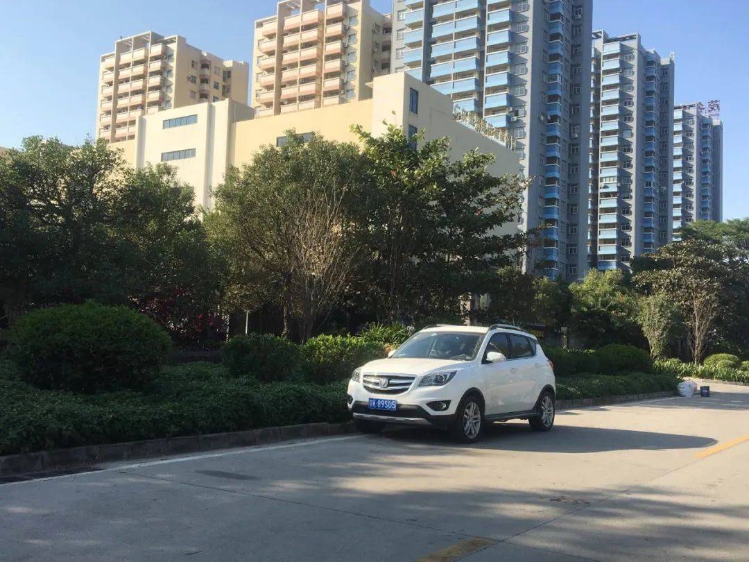 电白这些小车被公开曝光!