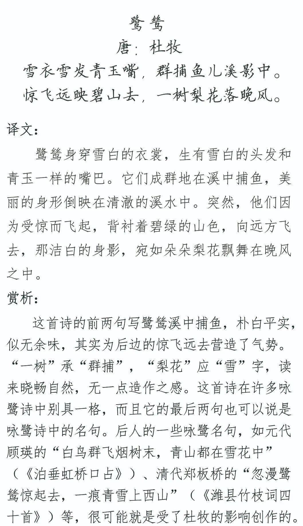 白鹭鸶古诗图片