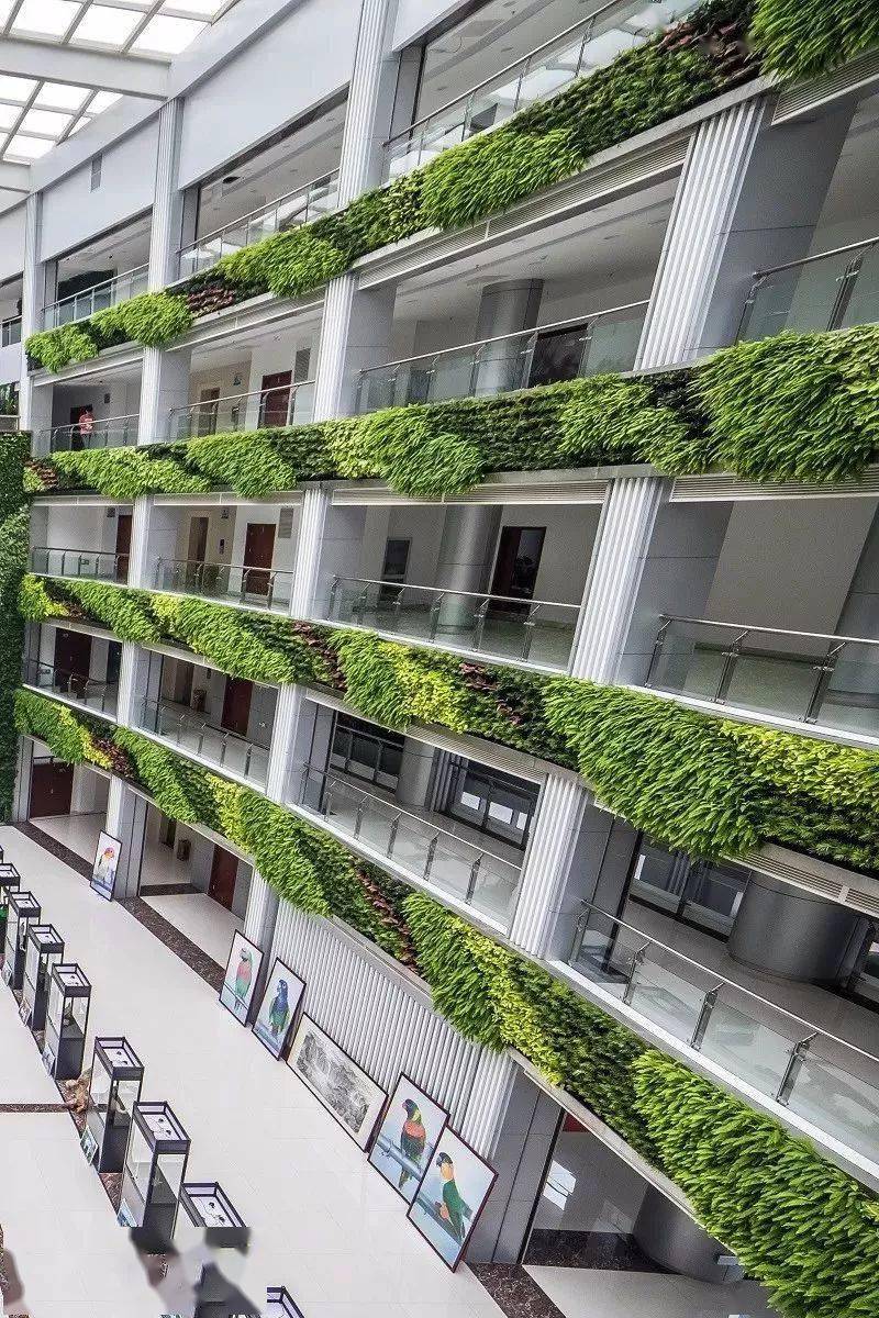 绿化提升)▼天安骏业写字楼(艺术植物绿墙与空中花园)▼深圳市华为