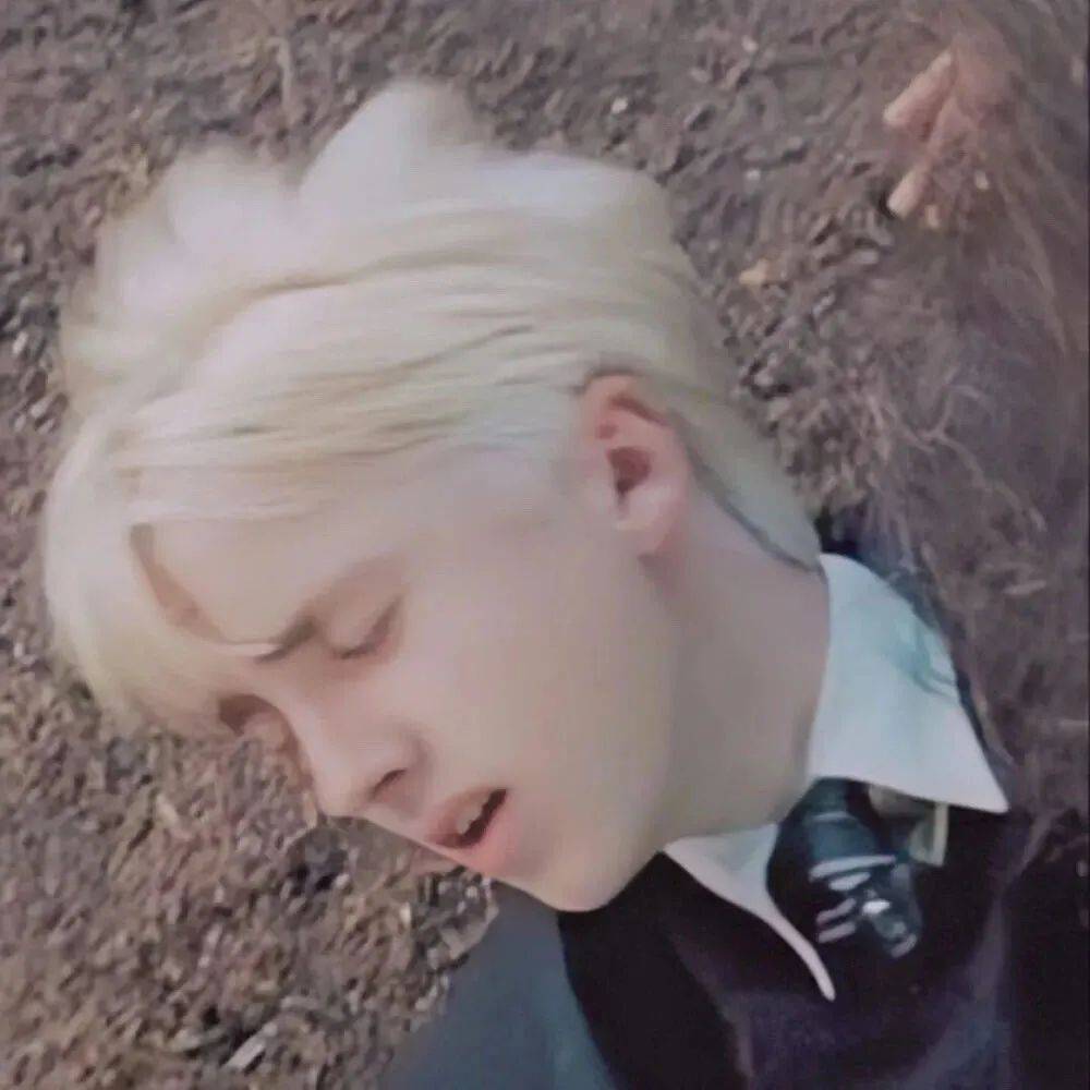 头像英文朋友圈文案已开启