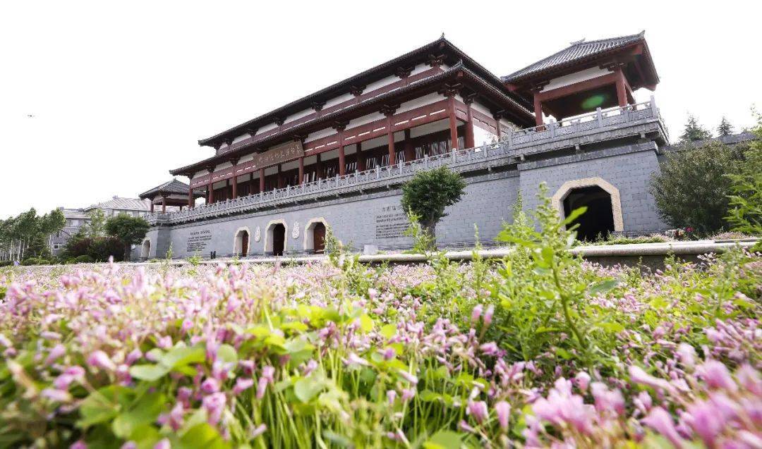 肥乡这个地方要晋升为国家4a级景区啦!_旅游