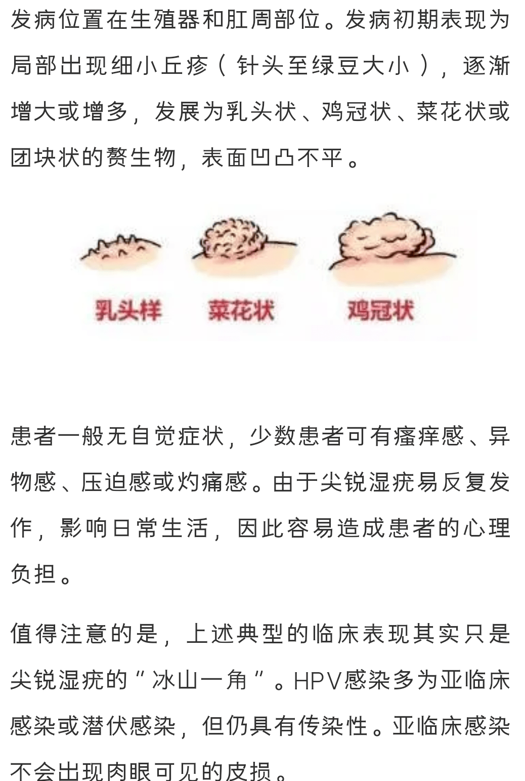 尖锐湿尤的危害图片