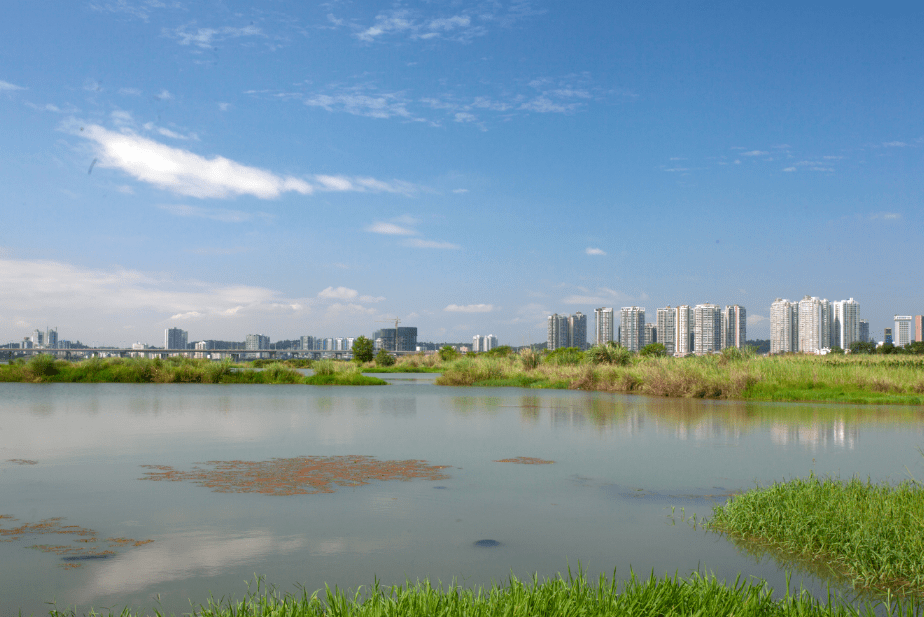 行走遂宁观音湖生态湿地公园