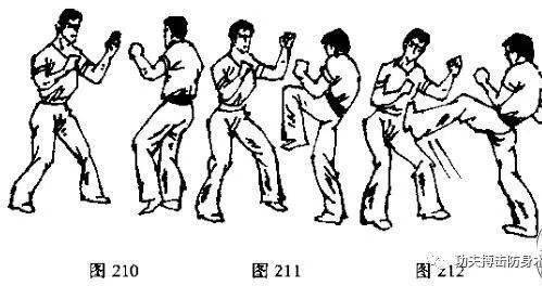 散打拳法腿法组合实战教学
