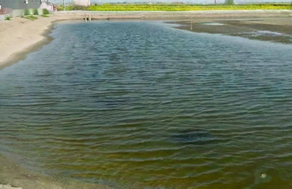 ph值过高或过低都有危害水体ph值的作用和调节酸碱度的措施