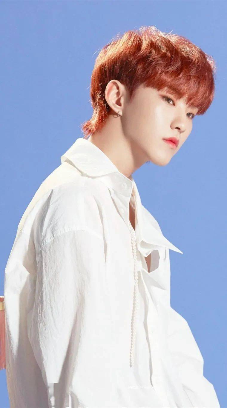 手机壁纸seventeen权顺荣