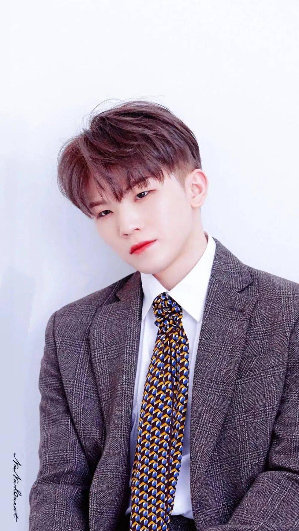 手机壁纸seventeen李知勋