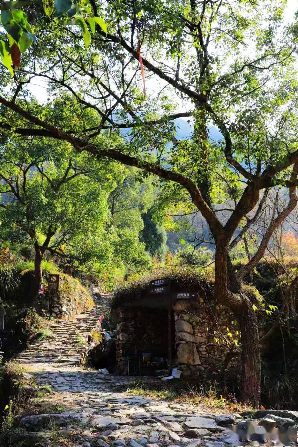 天台南屏的初冬竟然这么美