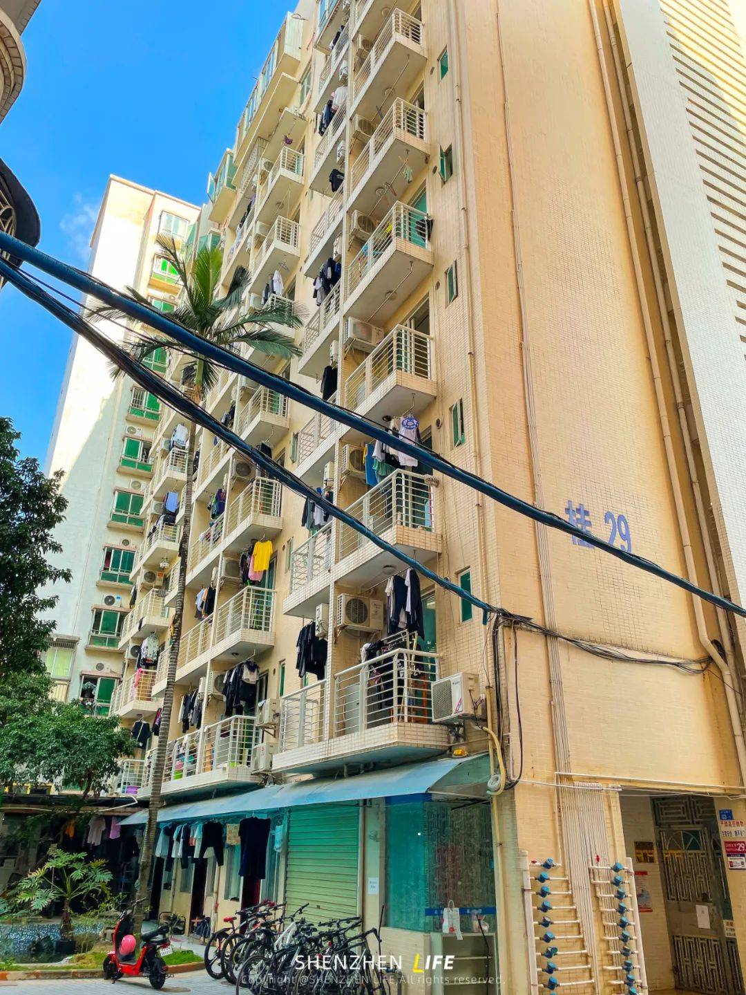 因为学生宿舍紧缺,深圳大学在2002年至2007年,先后租赁桂庙新村32栋楼