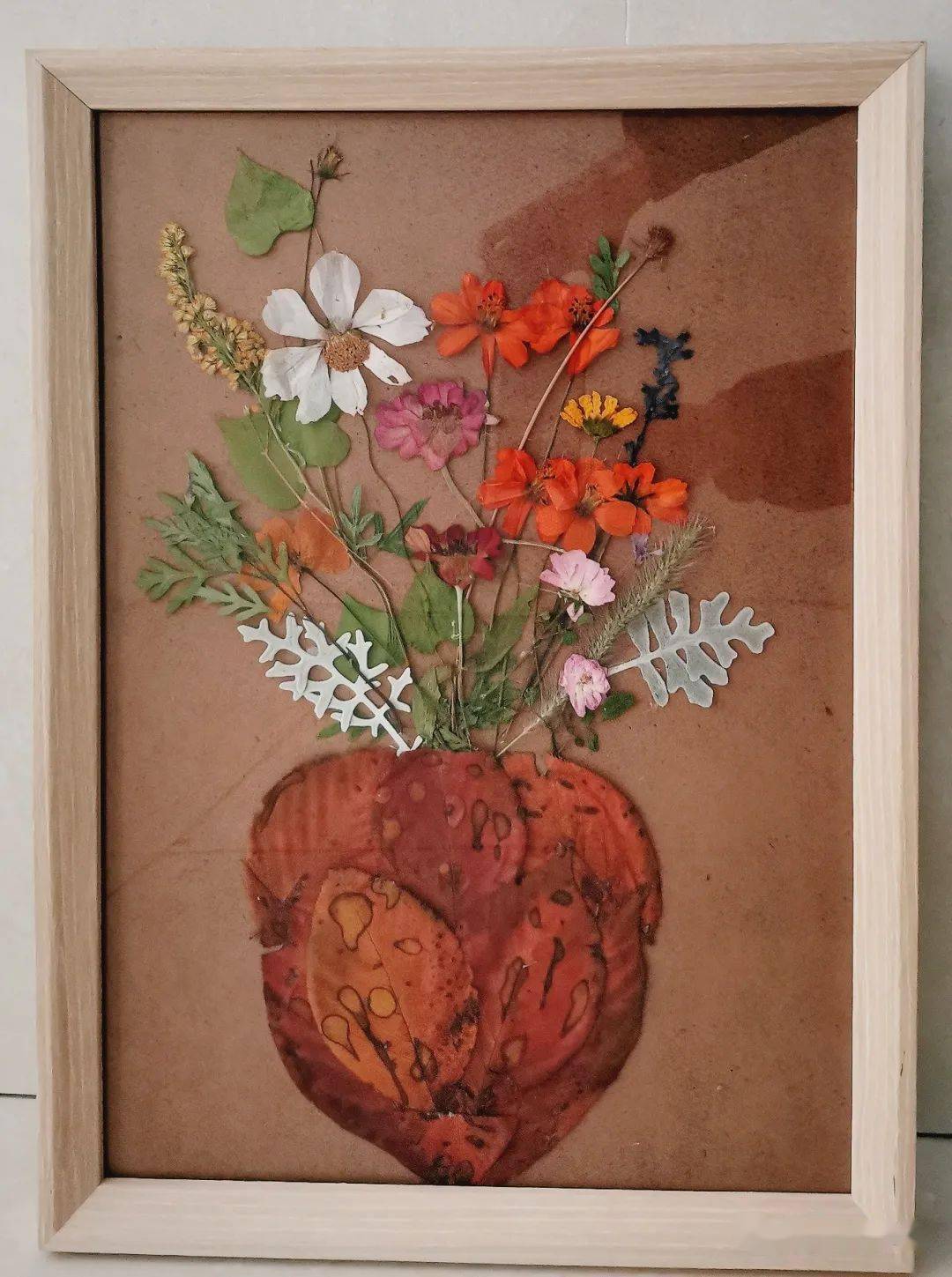 第五届创意标本大赛