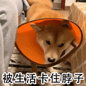 表情包外面比想象中冷
