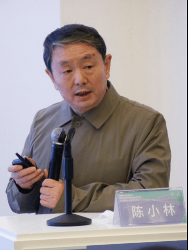 四川大学艺术学院陈小林教授发言陈小林教授指出研究设计价值转换经济