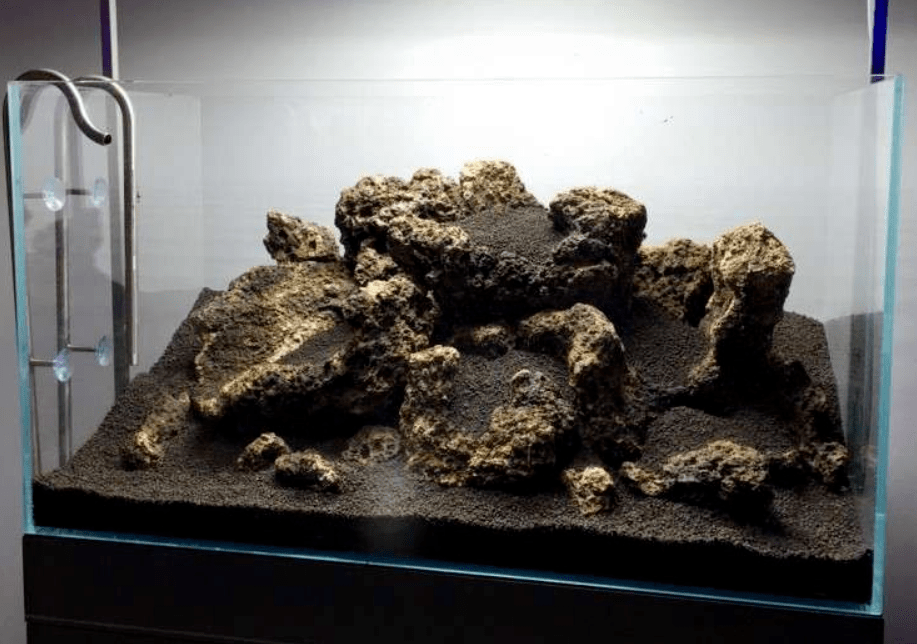 箦藻,大红叶,血心兰,红柳,小红莓,绿宫廷最后这两个90cm的火山石造景