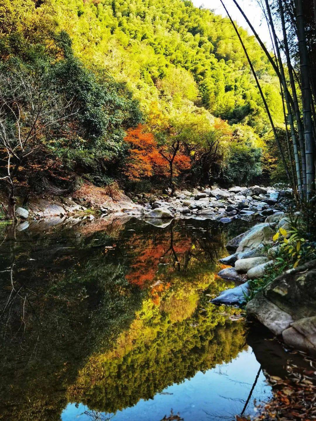 网红打卡地●花园里秋意正浓时分在花园里泡上一壶茶赏尽芝林的山水
