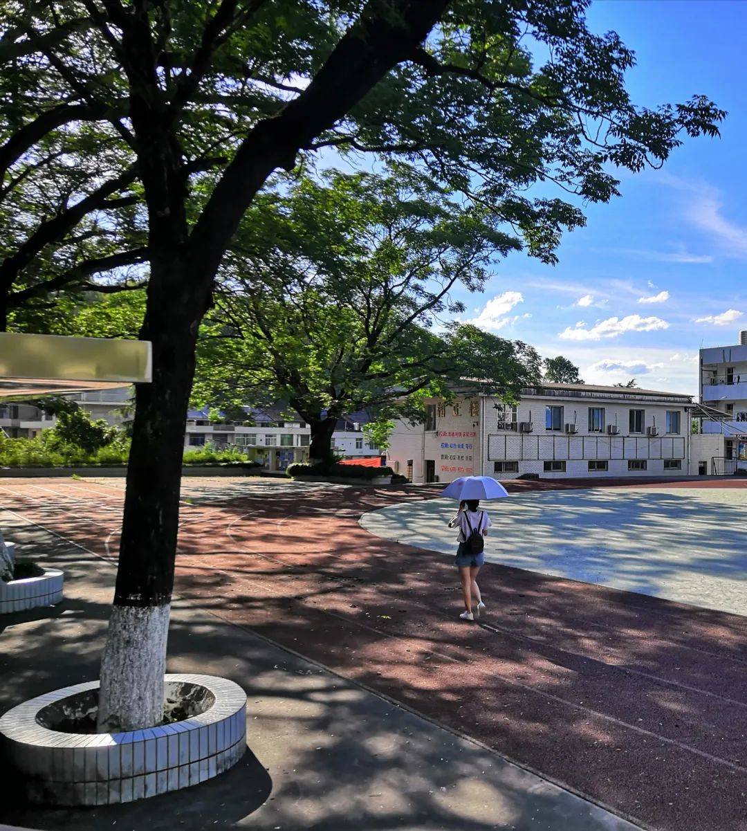 泰顺县第六中学校园新十景