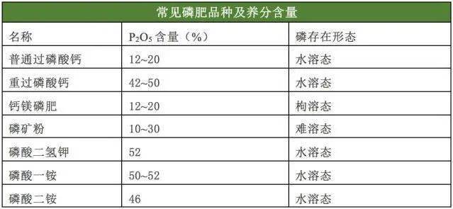 磷肥价格波动对农业生产的影响分析