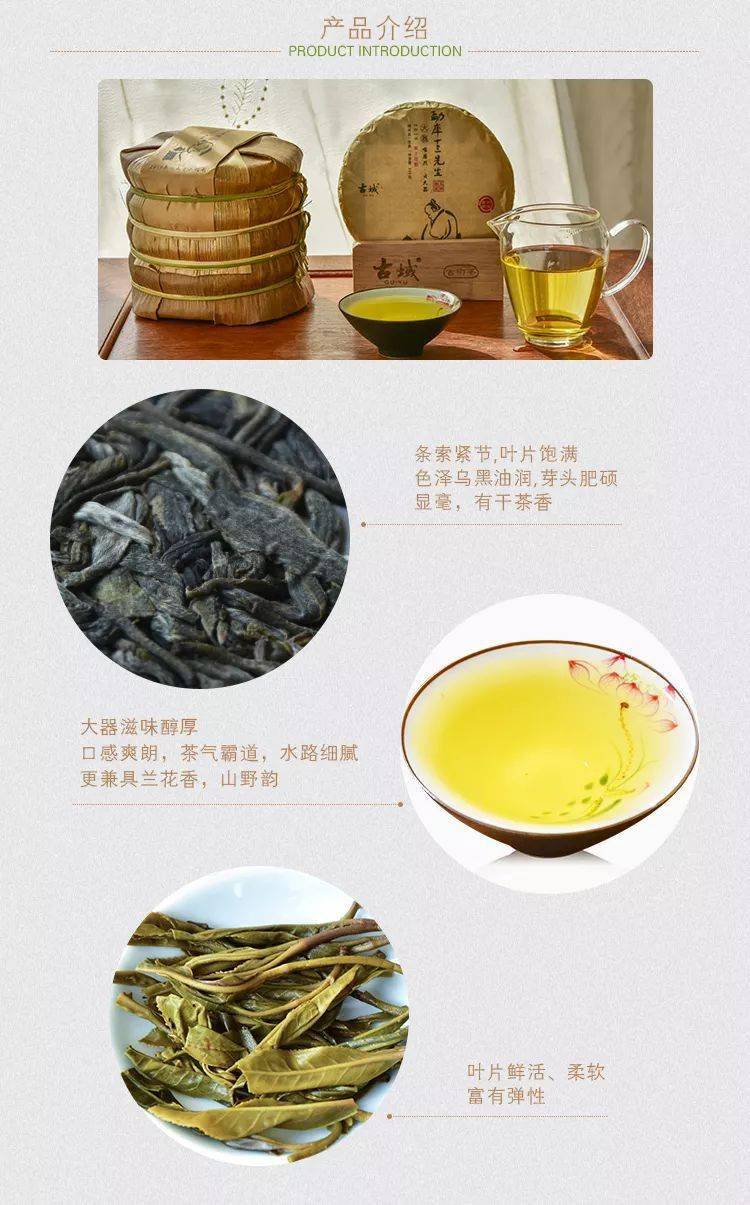 勐库十三先生 唯磨烈,方大器,古域大器古树茶,头春纯料