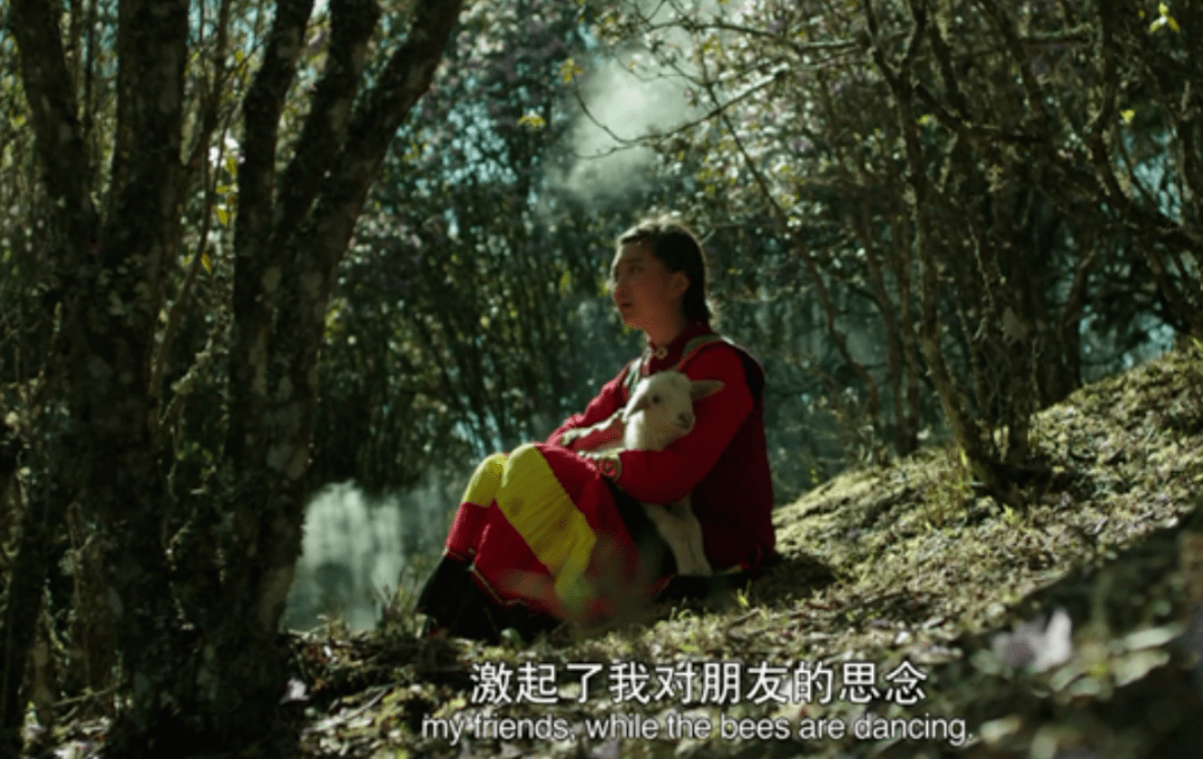 禁毒专栏古田县组织观看禁毒教育电影梦回远山