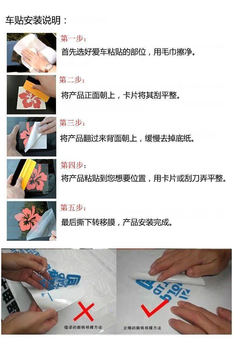 可爱边境柯利狗放哪儿都好看