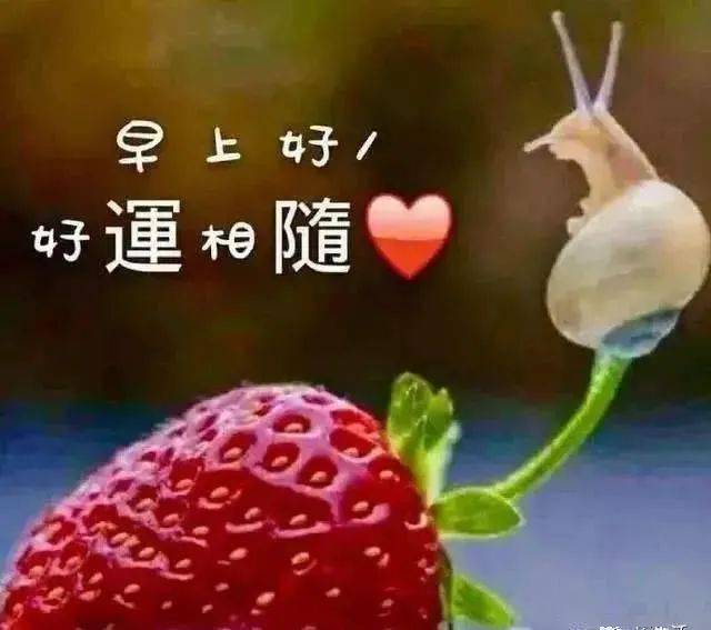 最新版非常漂亮的早上好表情图片温馨早安心语语录
