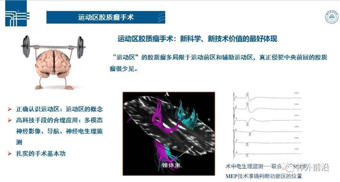 天坛医院谢坚个人简历图片