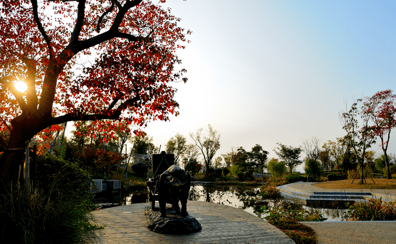 @丁真,宿迁「湖滨」邀你来旅游!_骆马湖