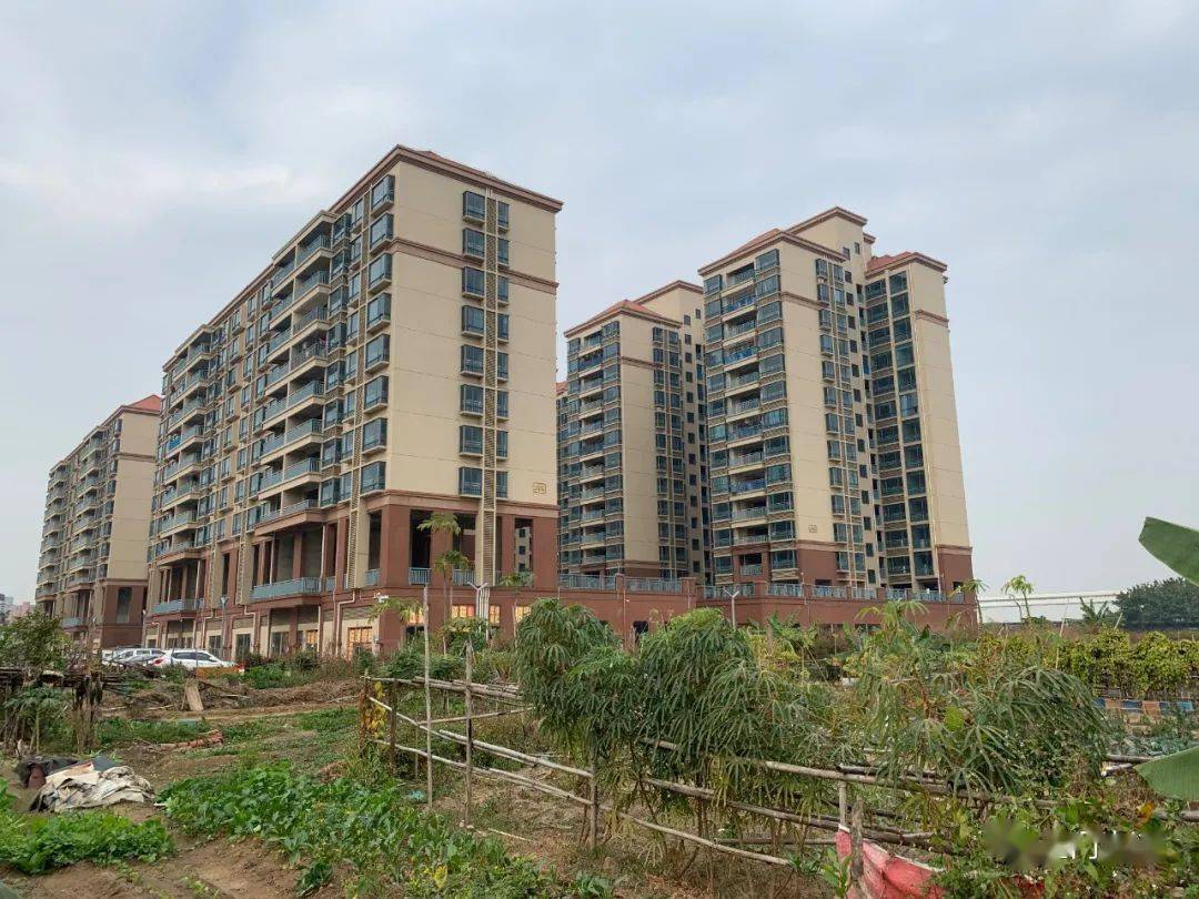 300亩分了11亿拆迁款虎门白沙还有1256亩正在旧改一共能分多少钱