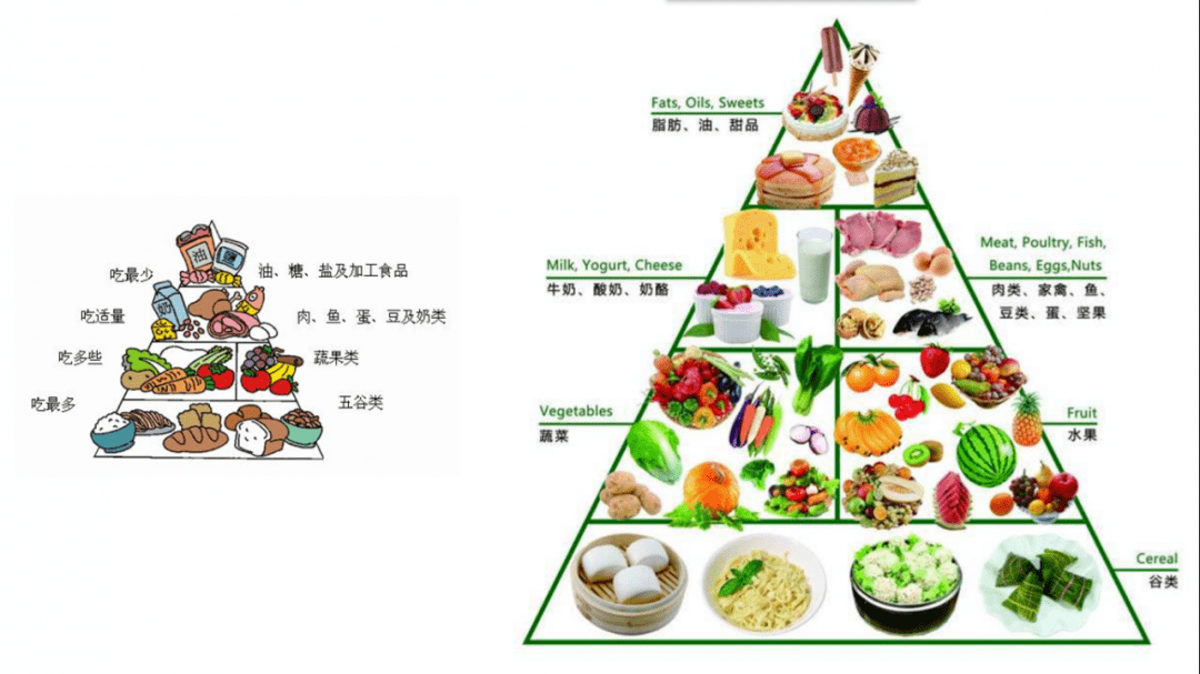 求精学子都聚精会神的聆听,充分理解了饮食均衡营养的重要性,将一份份