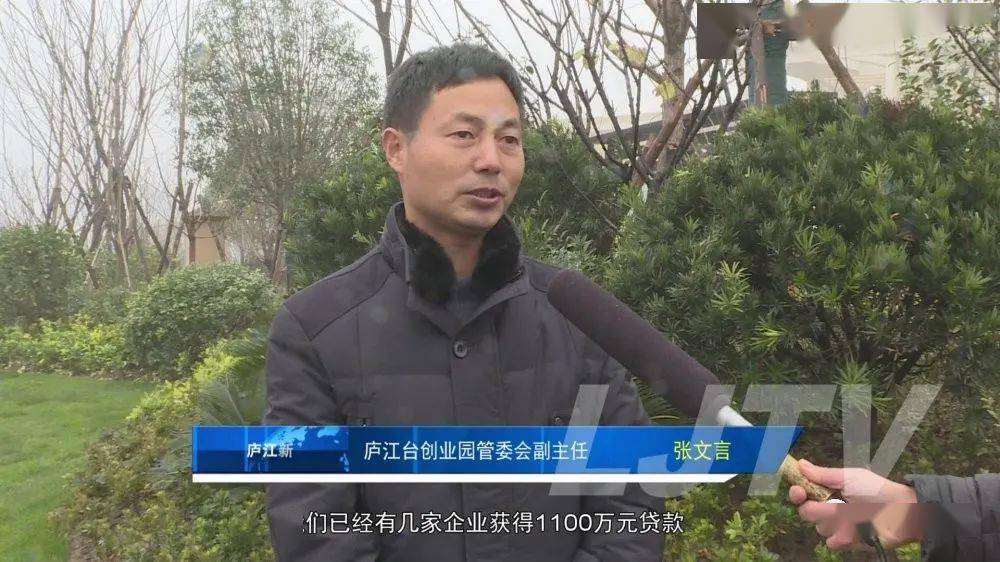 庐江台创园管委会副主任张文言:"我们已经有几家企业获得1100万元贷款